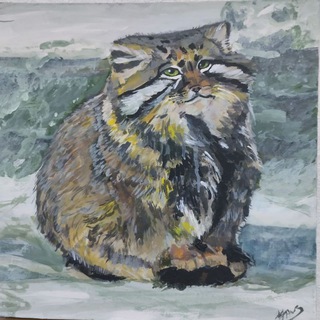 Логотип @justmanul - Манулы. Просто манулы.