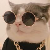 Логотип @jzcds - 局外翻🌼