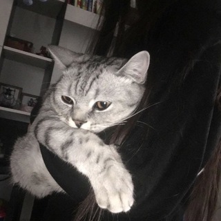 Логотип @k0t1ki228 - спать