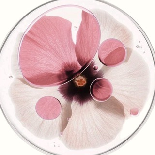 Логотип @k_seenichka - под абажýром