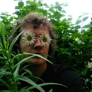 Логотип @kabachok_tertishnogo - Кабачок Тертишного