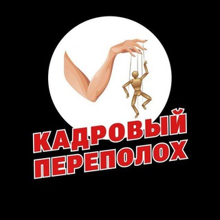 Логотип @kadrovyperepoloh - Кадровый переполох