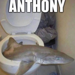 Логотип @kainsharkua - Акула з Ікеї | Акуліна | #УкрТґ