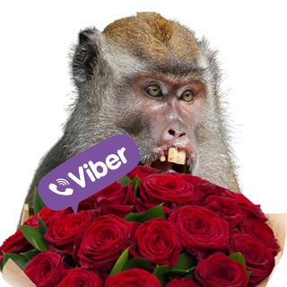 Логотип @kakatb_podano - Открытки для родственников в вайбер