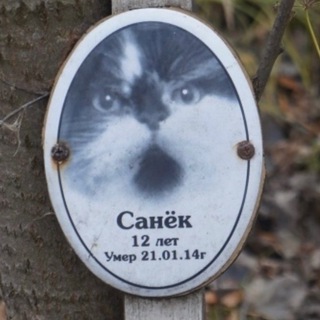 Логотип @kakievecherinki - Путь Санька