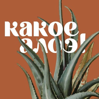 Логотип @kakoealoe - Какое алоэ! | Комнатные растения