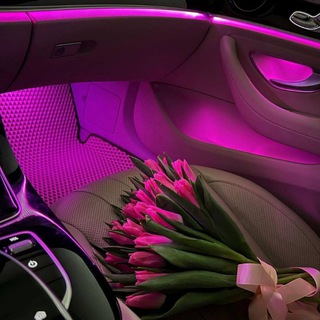 Логотип @kaktus98678 - Коменти