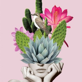 Логотип @kaktusovodrussia - 🌵🅚🅐🅚🅣🅤🅢🅞🅥🅞🅓🌵