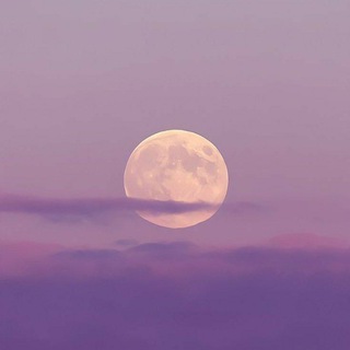 Логотип @kalbim_moychechagi - Moychechagim 🌼