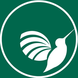 Логотип @kalibri_edu - Kalibri Education