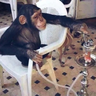 Логотип @kalikovchane - каликовчане