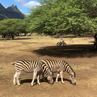 Логотип @kaliningrad_tour - Калининград: экскурсии,гид
