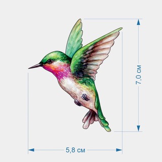 Логотип @kalipry - Колибри