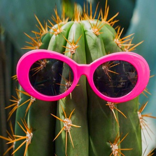 Логотип @kaljannamoloke - Чашка чая ☕️