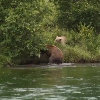 Логотип @kamchatka_tours - Туры на Камчатку