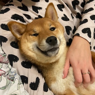 Логотип @kami_shibainu - Та самая Ками