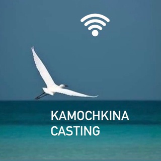 Логотип @kamochkinacasting - Kamochkinacasting