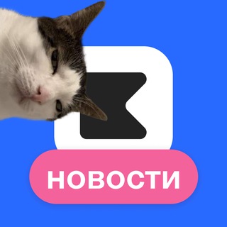 Логотип @kampus_ai - Kampus.ai (Кампус | Кэмп)