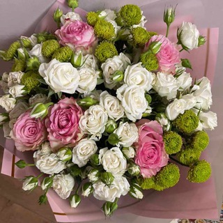 Логотип @kamulya6 - kamulya