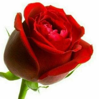 Логотип @kanal_qrupum - 💖Ömrümüzü gözəl yaşayaq💝