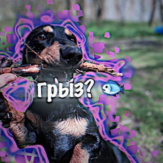 Логотип @kanal_tykana4 - .