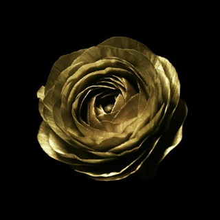 Логотип @kanalni_grrupasi_n1 - Можна