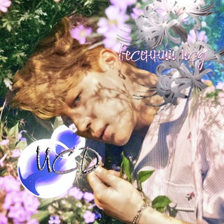 Логотип @kanalpoisk - 🍀ищу сп/друзей🌷