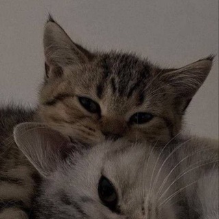 Логотип @kannalll32 - Я думаю