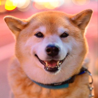 Логотип @kansascityshuffle - Kansas City Shuffle