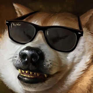 Логотип @kapatychnow - Улетно-пушистый юмор