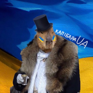 Логотип @kapibaramems - Kapibara | Капібара #УкрТг