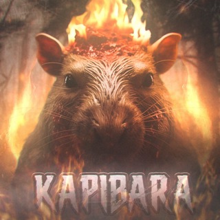 Логотип @kapibarapromo - Азартный капибара