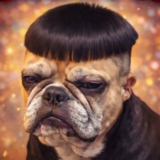 Логотип @kappa_v_chate - Kappa_v_chate