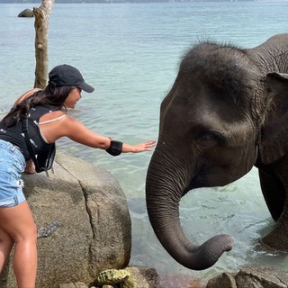 Логотип @kaprizbeauty - Kapriz Beauty Talks