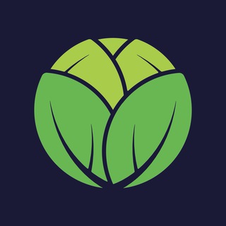 Логотип @kapusta_journal - Капуста