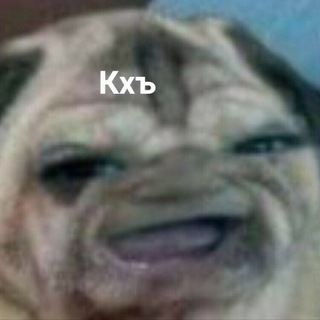 Логотип @kapybaryni - КХЪ