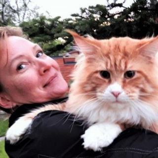 Логотип @karabasvillecoon - МЕЙН-КУН МЕЧТЫ