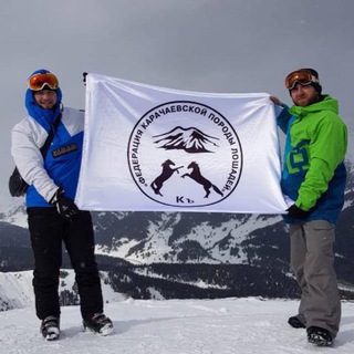 Логотип @karachay_horse_federation - Karachay_horse_federation