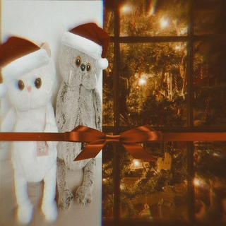 Логотип @karalilisenwi - ˚｡⋆୨୧˚ʙᴀsdᴀnsᴋ˚୨୧⋆｡˚