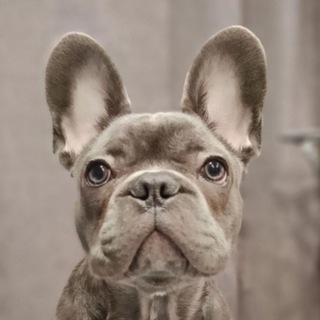 Логотип @karamba_pricol - Карамба!•Приколы😂