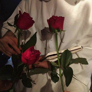 Логотип @karanavirus_infouzb - ◦•●◉✿ Фергана ситй ✿◉●•◦
