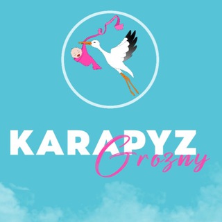 Логотип @karapyz_grozny_vroddom - Карапуз. Сумка в роддом. 👜