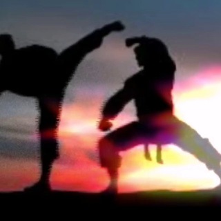 Логотип @karatekazan - Каратэ киокусинкай Стальной Барс