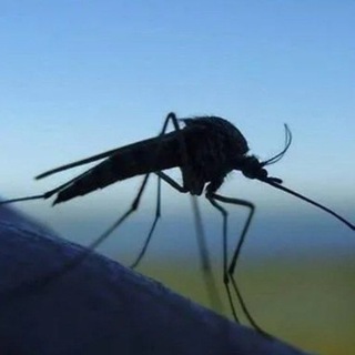 Логотип @kareliaformemory - Долго будет Карелия сниться