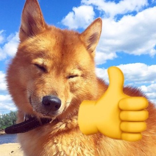 Логотип @karelianluskies - Карельские лайки