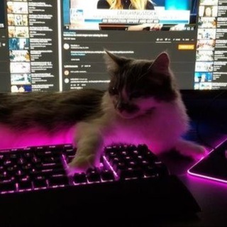 Логотип @karev_ahh - 𝙆𝘼𝙍𝙀𝙑 𝙎𝙃𝙊𝙋 🦋