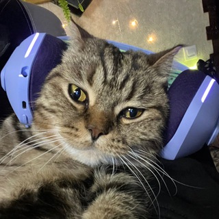 Логотип @kargust - Пупер упер белт(kargust)🧙🏿‍♂️