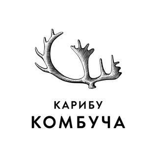 Логотип @karibu_kombucha - Karibu kombucha
