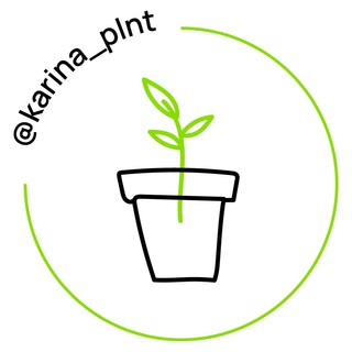Логотип @karina_plnt - karina_plnt
