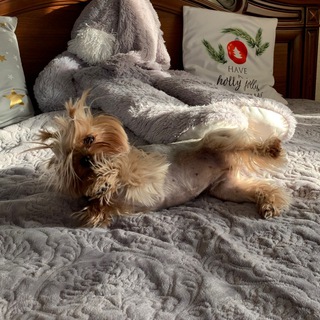 Логотип @karinkinsi - каринкинсы